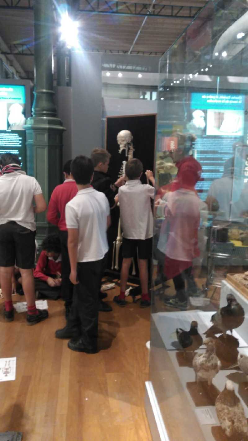 MUSEO_CIENCIAS_NATURALES