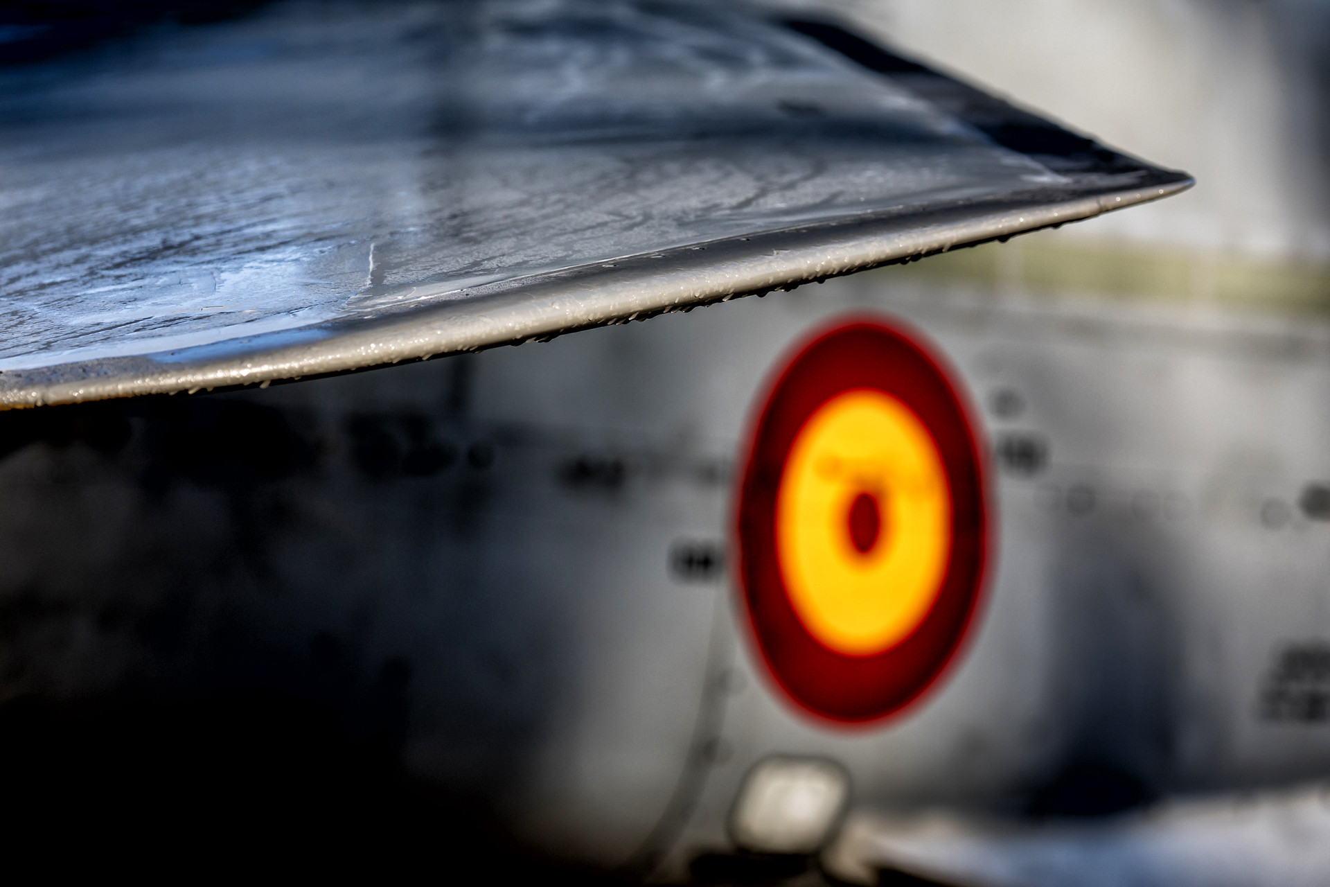 Escarapela aeronáutica española en un avión F-18