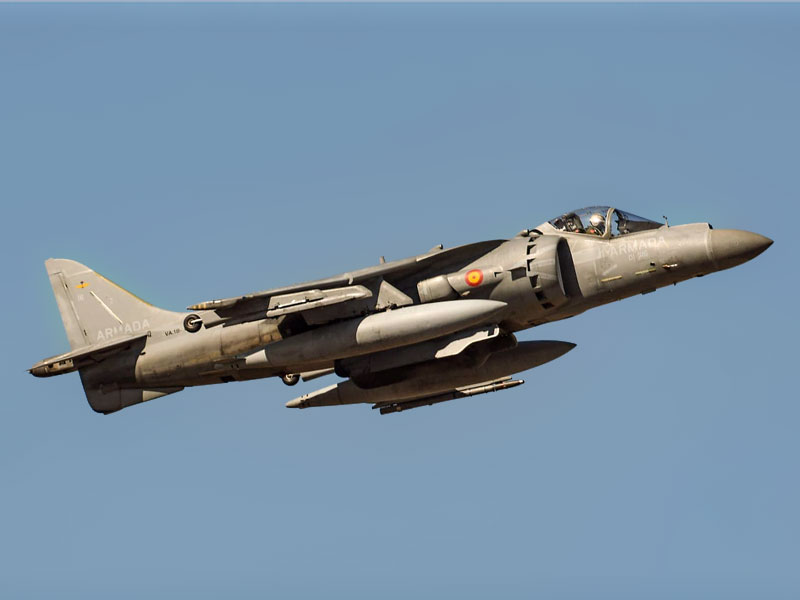 Harrier en vuelo