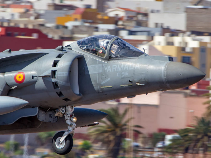 Harrier de la Armada