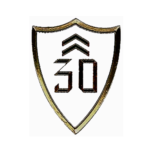 Emblema escuadrón 151