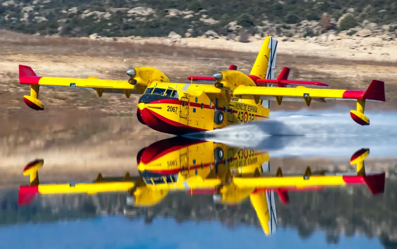 Premio imagen mejor colección