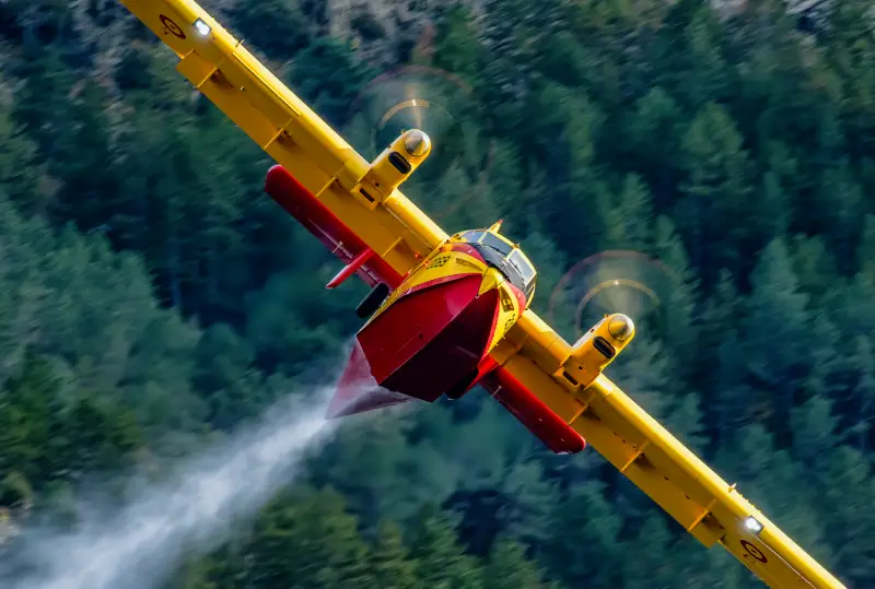 Premio imagen mejor colección