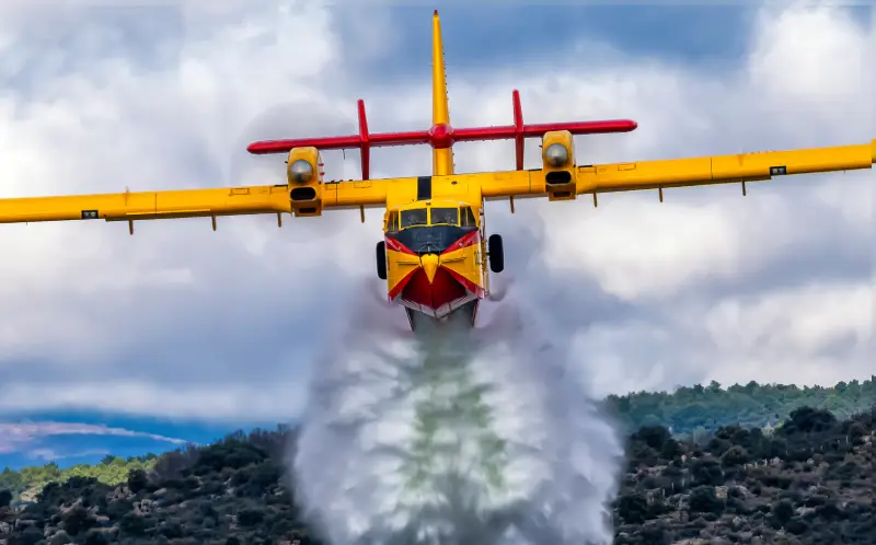 Premio imagen mejor colección