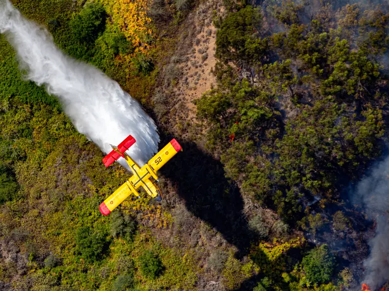 Accesit mejor fotografía 2025