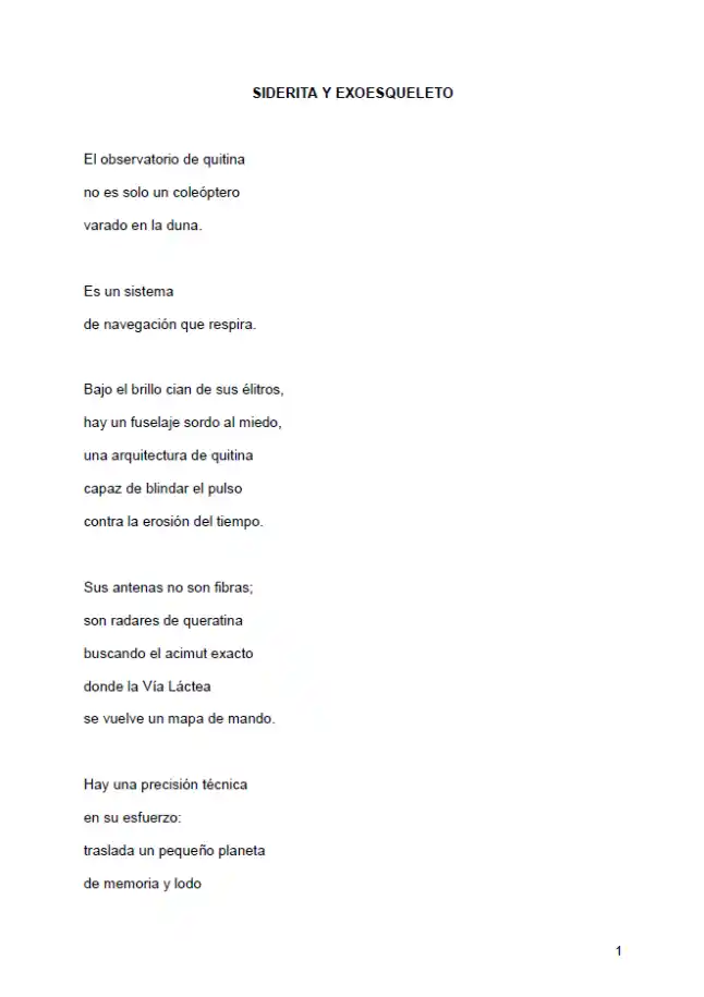Portada del poemario «Siderita y exoesqueleto», de Silvia Teresa Robles Barragán.