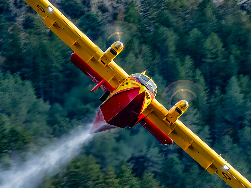 43 Grupo, la lucha contra el fuego de Miguel Ángel Ramírez de Arellano Alonso para el concurso de 2025