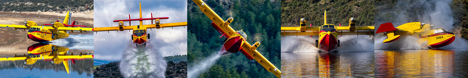 Primer premio colección fotografía 2024