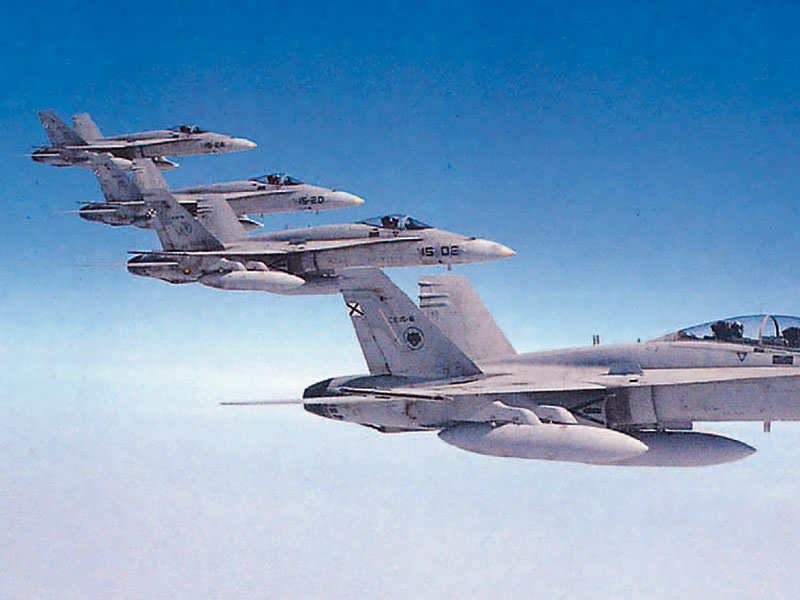 Hércules del Ala 31 