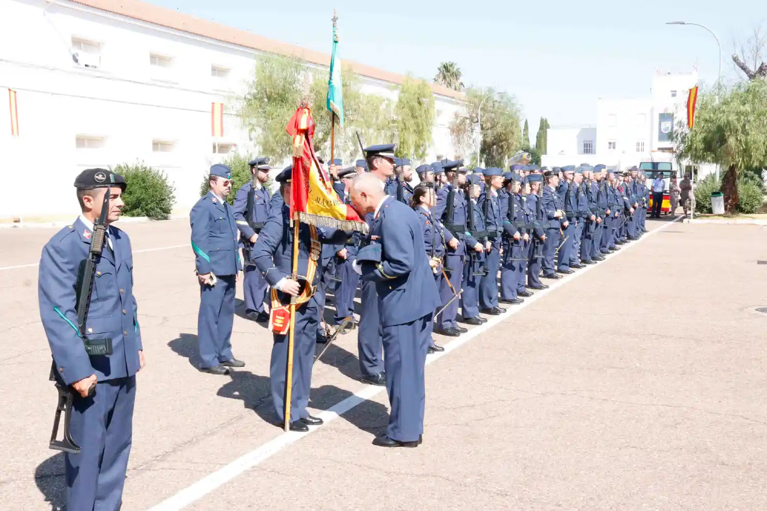 Imagen de Normativa SAP