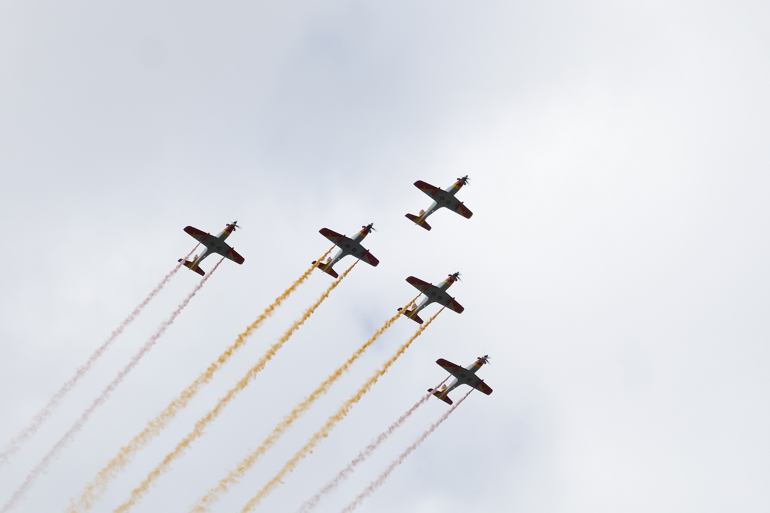 Imagen de La Formación Mirlo pone el broche de oro al Día de la Fiesta Nacional