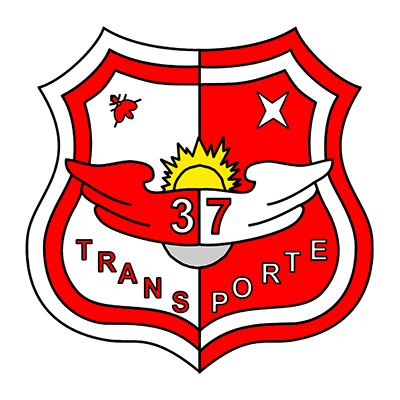 Distintivo del Ala 37